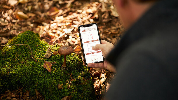 Ein Mann hält sein Smartphone über einen Pilz und schaut sich eine App an